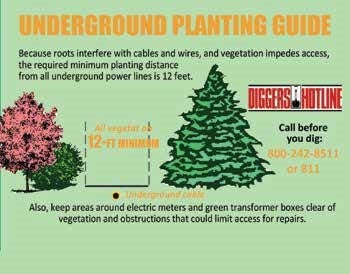 UndergroundPlanting